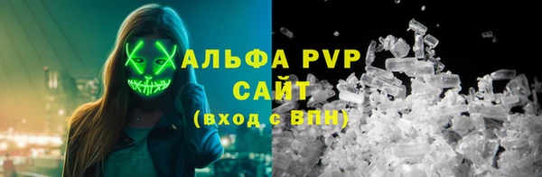 сатива Белокуриха