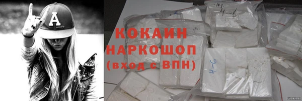 сатива Белокуриха